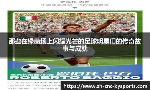 那些在绿茵场上闪耀光芒的足球明星们的传奇故事与成就